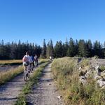 Bike around the Island