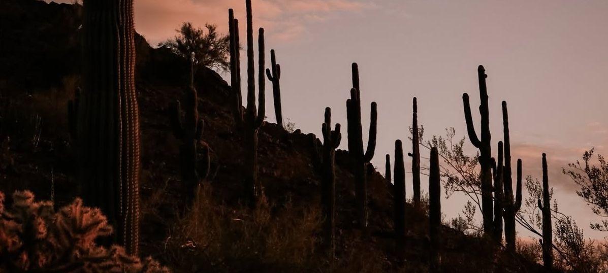 The Wedding Website of Kathryn Turman and Connor Jordan