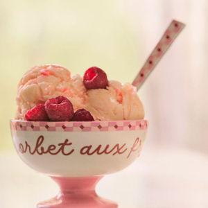 Café Violette Handpainted Stoneware Ice Cream Bowl - Anthropology