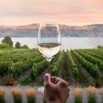 Wine Touring