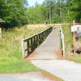 Grand Bay Wildlife Management Area
