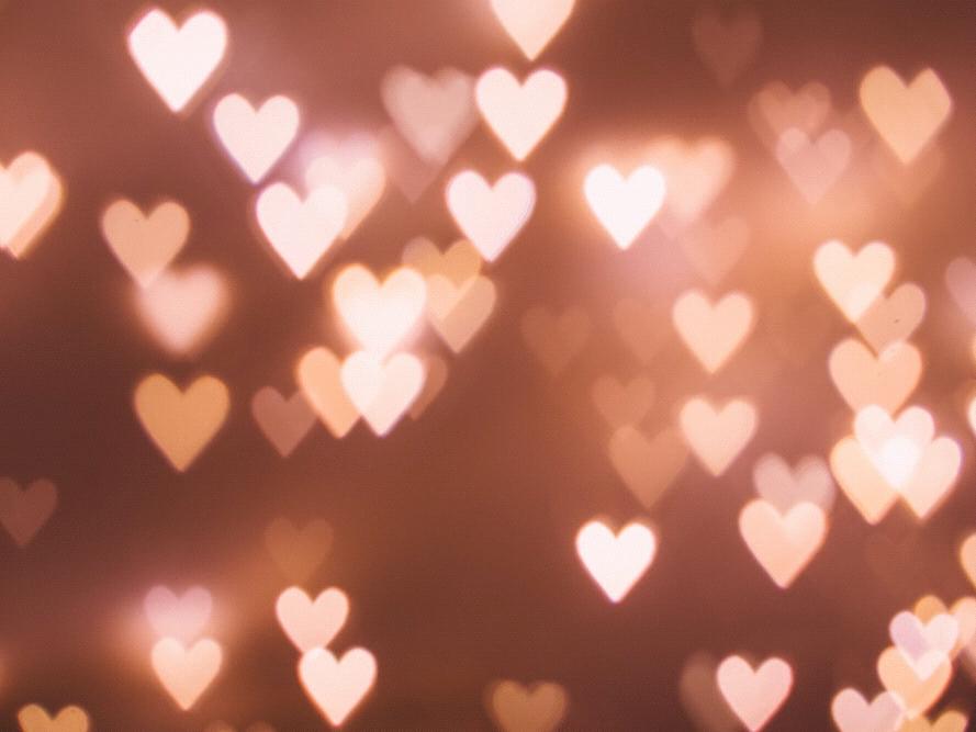 The Wedding Website of Nicole Menezes and Rono Chatterjee