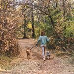 Running & Hiking Trails