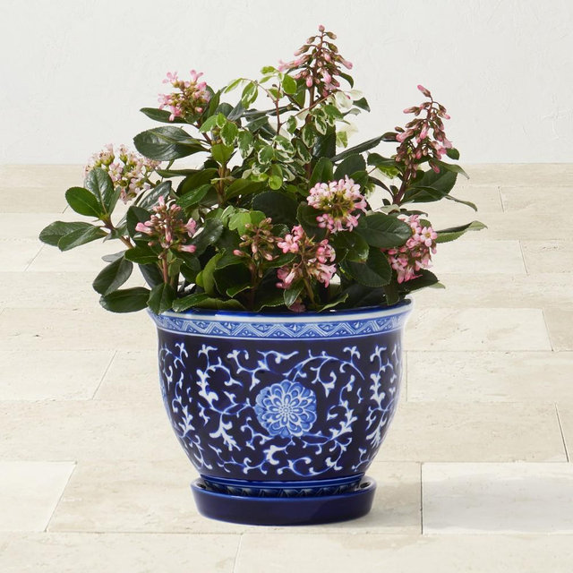 Blue and White Ceramic Planter Extra Small with Tray