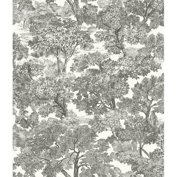 Spinney Toile 33' L x 20.5" W Wallpaper Roll Black