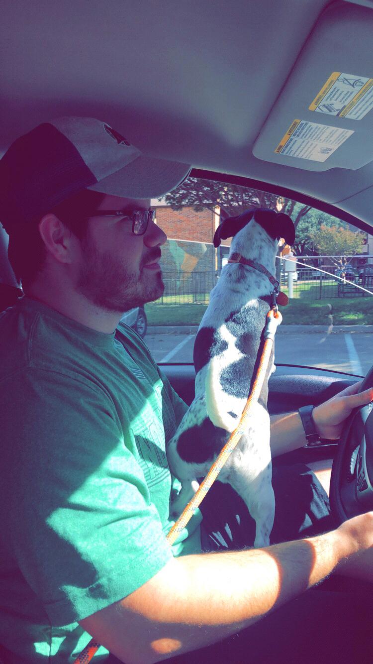 Katie ridding in Stefan’s lap on the way to the dog park