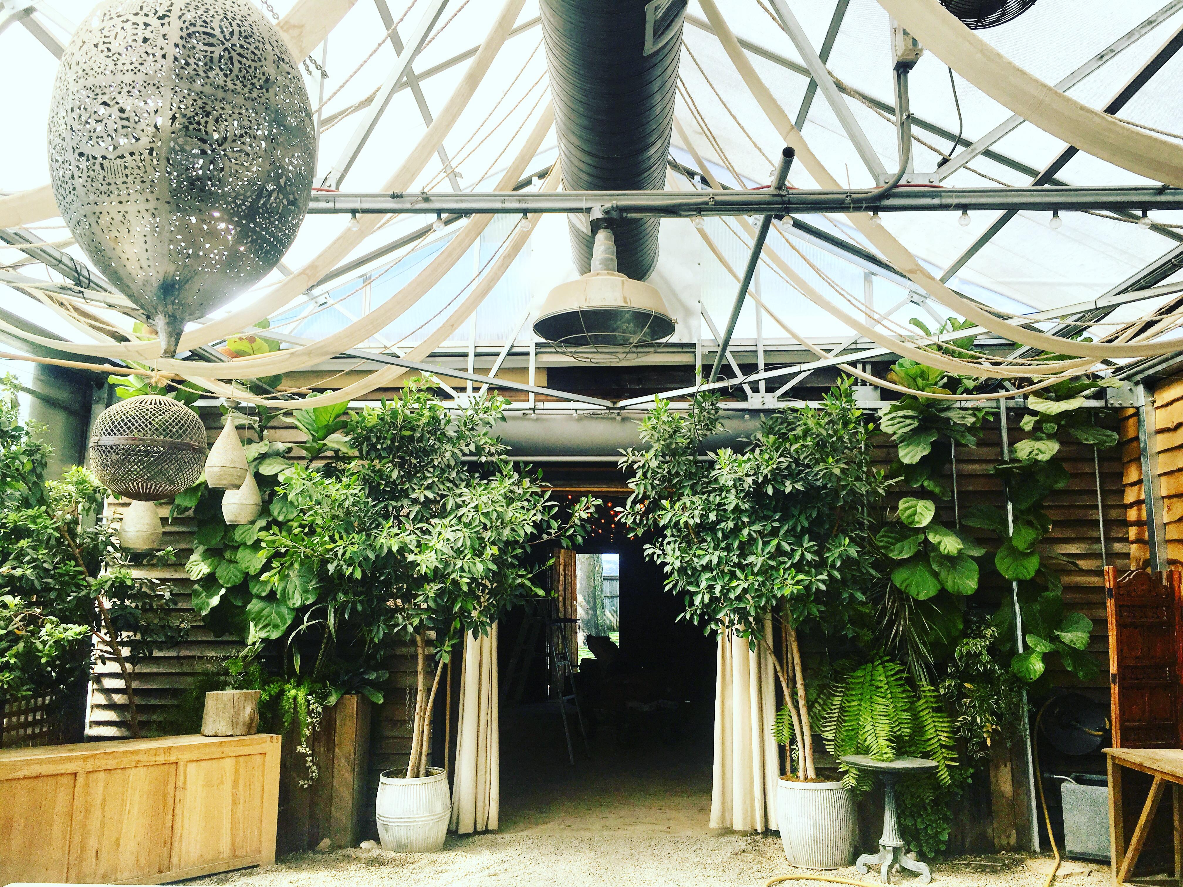 The Wedding Website of Katherine Dranoff and Jose Rivera