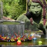 Atlanta Botanical Garden