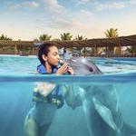 Dolphin Discovery Isla Mujeres
