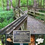 BREC's Bluebonnet Swamp Nature Center