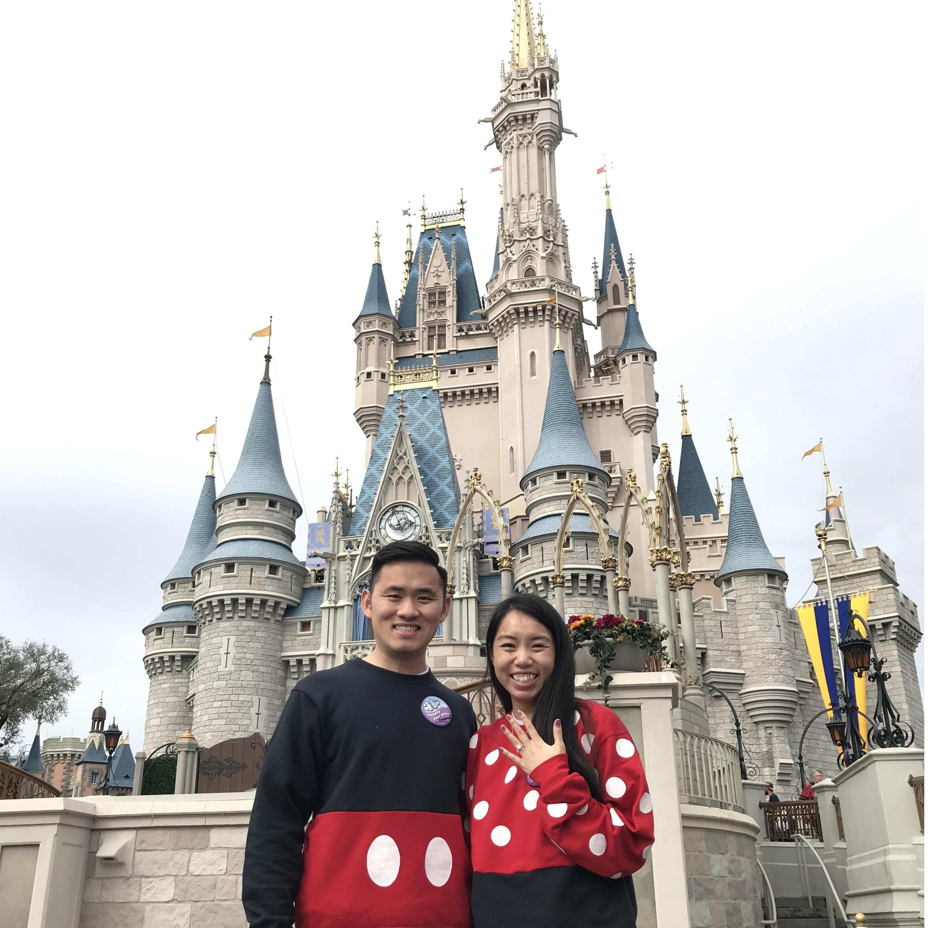 02/2019 - Cinderella's Castle
Magic Kingdom, Orlanda, FL