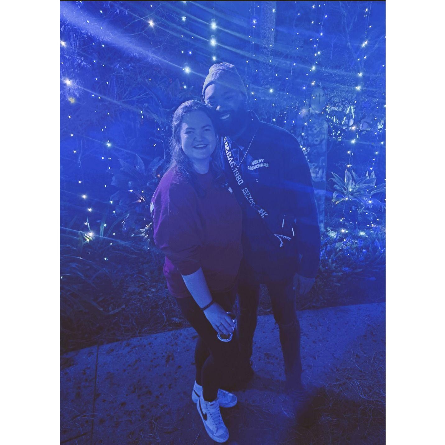 Leu Gardens Christmas lights