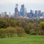 Belmont Plateau