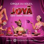 Cirque du Soleil | Vidanta Riviera Maya
