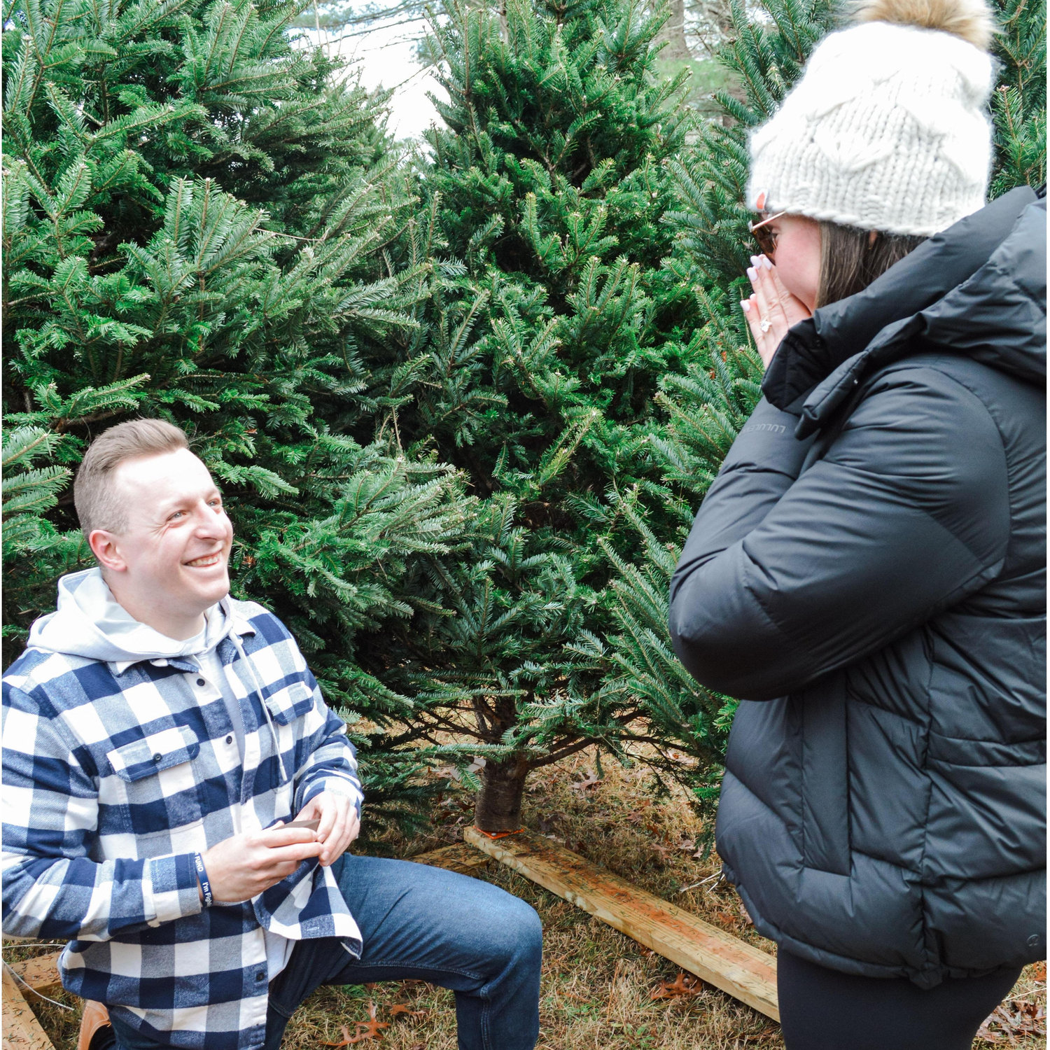 Our engagement at Weir Family Tree Farm