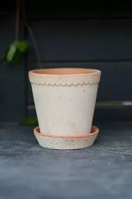 Bergs Scallop Pot + Saucer Set