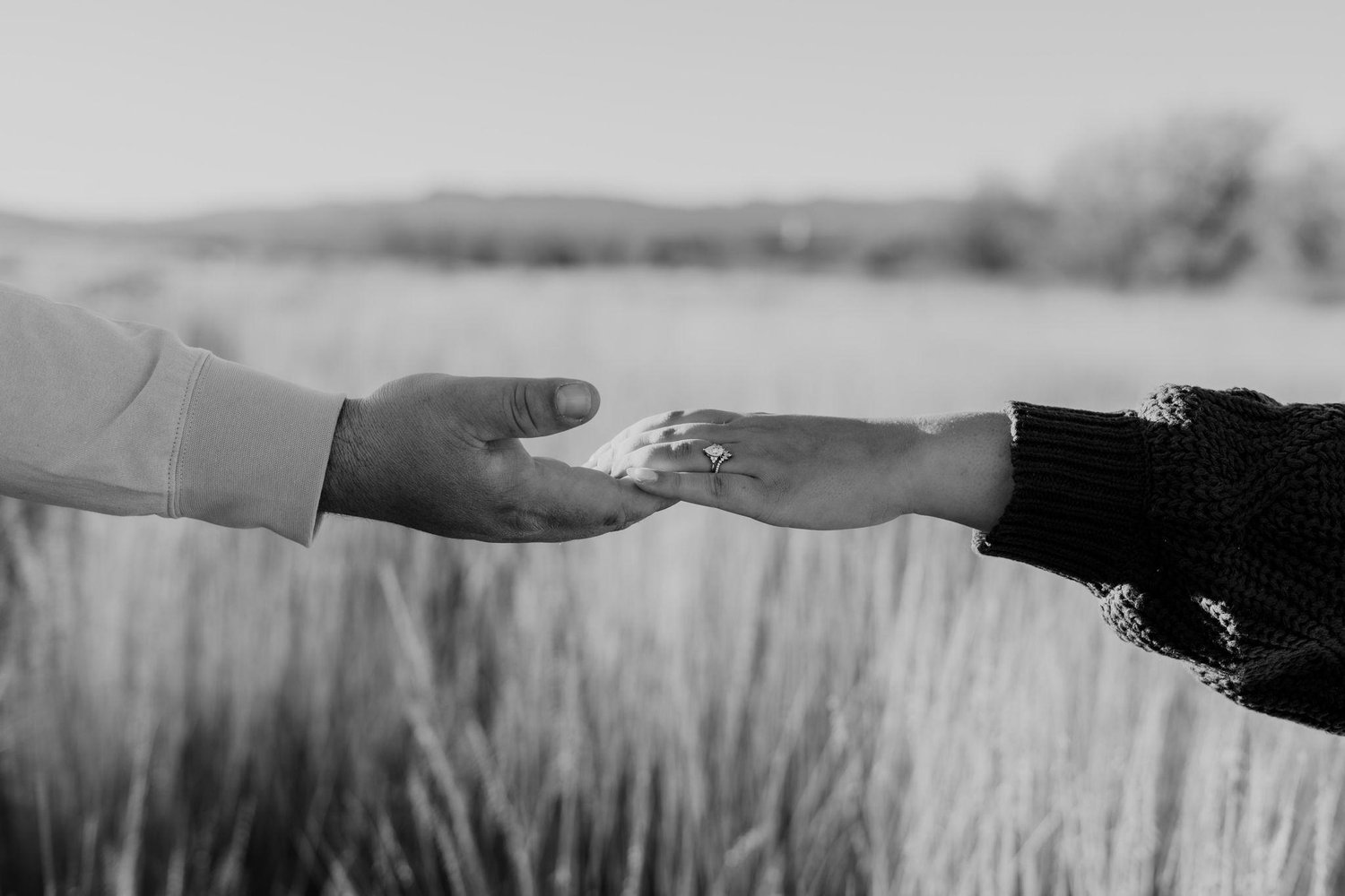 The Wedding Website of Danae Hollweg and Adrian Musaku