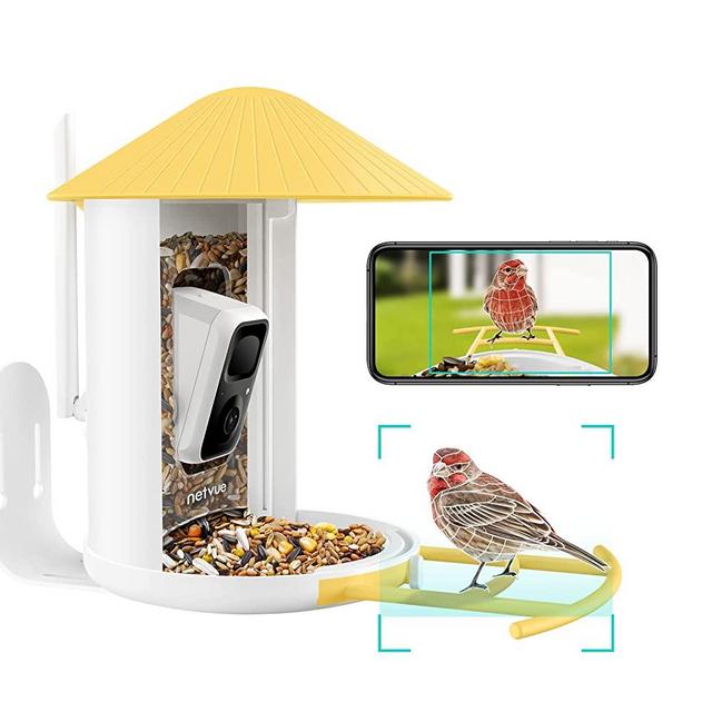 NETVUE Birdfy AI - Smart Bird Feeder Camera, Bird Watching Camera Auto Capture Bird Videos & Notify When Birds Detected, AI Identify Bird Species, Bird House with Camera WiFi Wireless (Yellow birdfy)