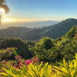 El Yunque National Forest