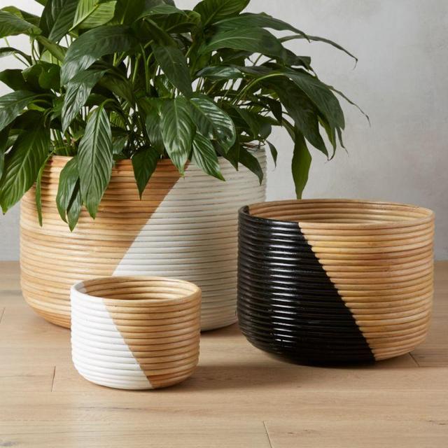 Basket Planters