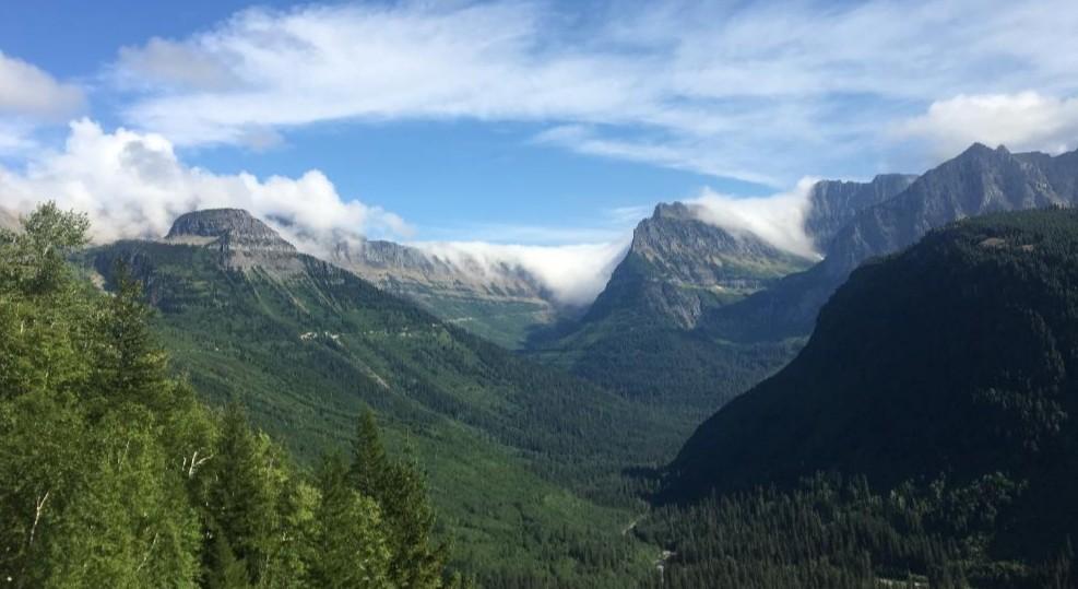 The Wedding Website of Danielle Yoder and Tudor Chesaru