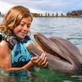 Dolphin Cove Ocho Rios