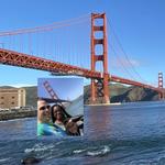 Fort Point National Historic Site