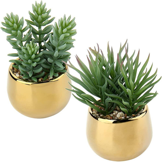 Briful Small Artificial Succulents in Pots Set of 2 Realistic Faux Succulents Plants with Gold Ceramic Pots Cute Mini Fake Plants Decor for Modern Home Table Office Desk Bathroom Shelf Decoration