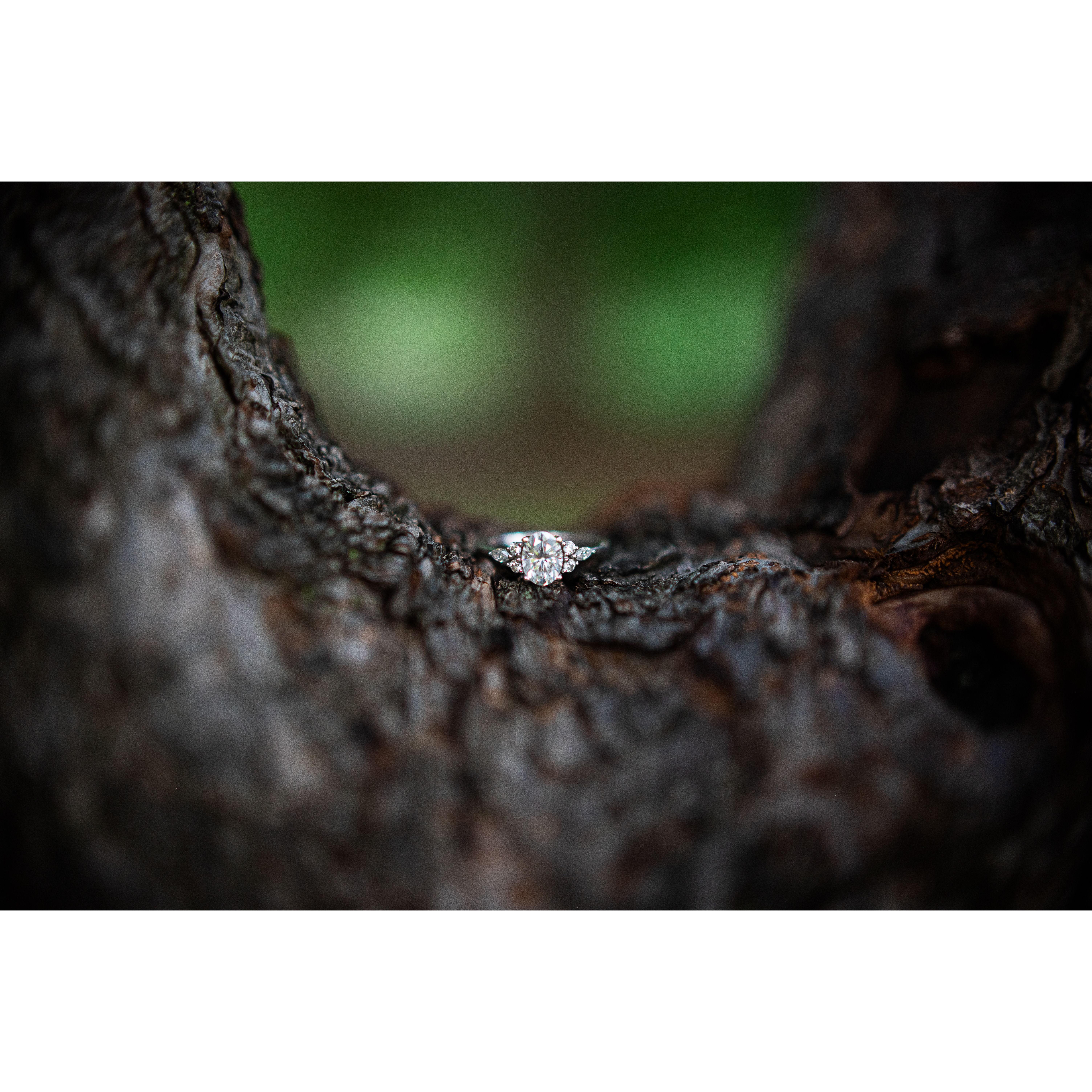 My Engagement Ring