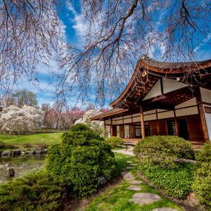 Houseshold Membership to Shofuso Japanese Cultural Center