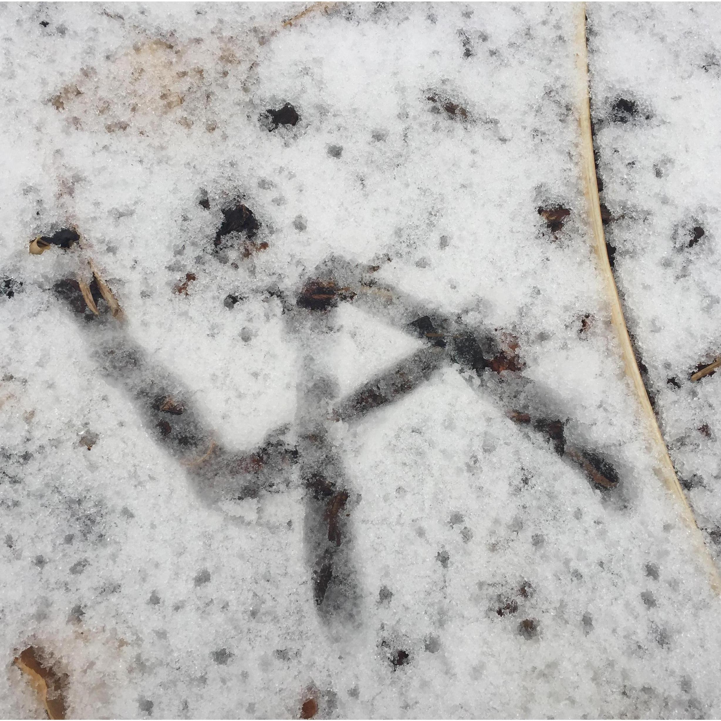 It's written in the snow and meant to be
