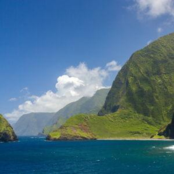 Our Maui Honeymoon Fund!
