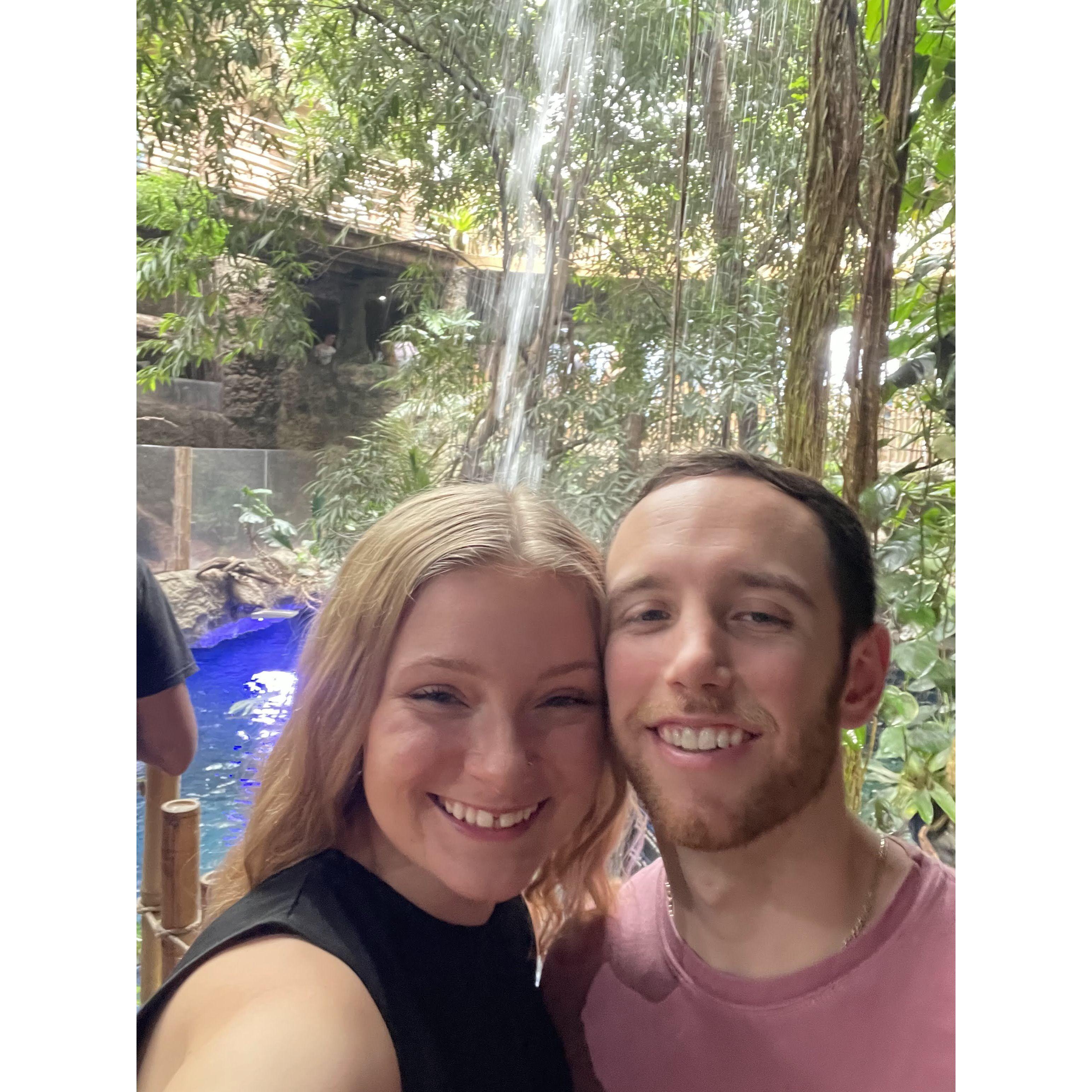 Dallas World Aquarium - Fall 2022