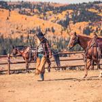 Horseback Riding in Logan Canyon