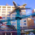 City Museum