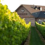 Newport Vineyard