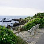 Marginal Way Scenic Walk