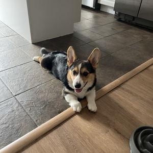 Archer's Fund