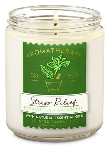 Crisp Morning AirSingle Wick Candle