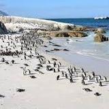 Boulders Beach