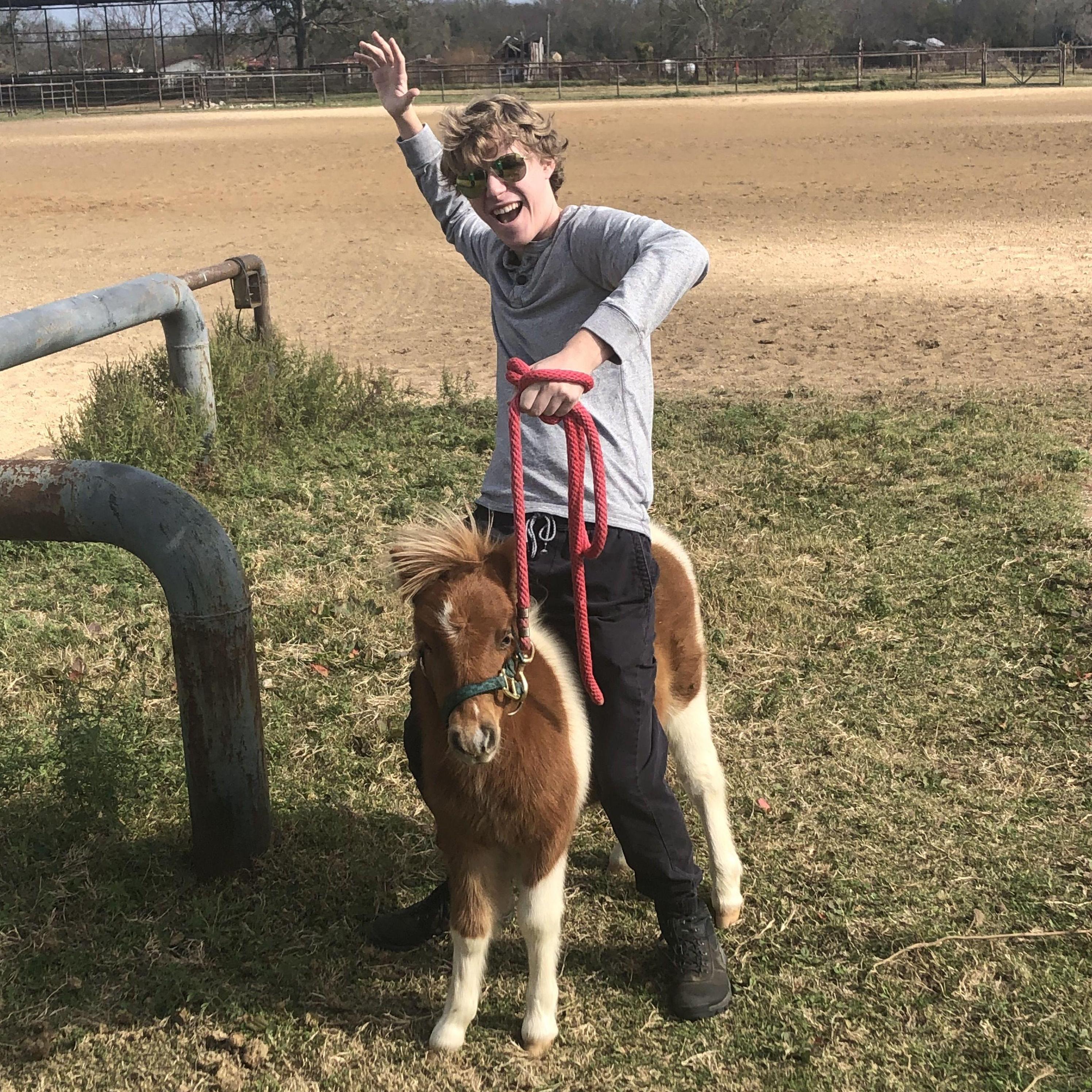 My little ponyyyyy, my little pony