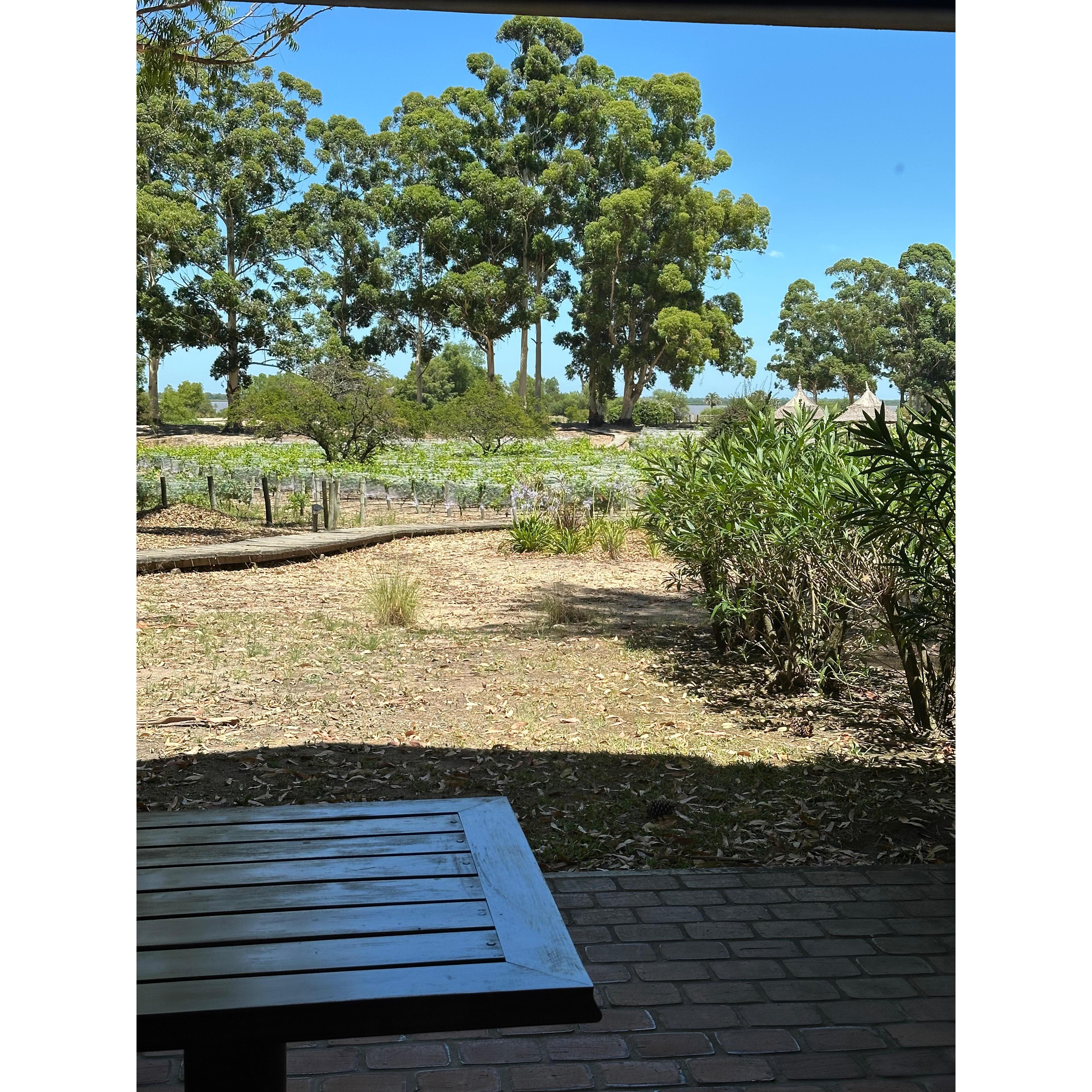 Hotel Carmelo Resort