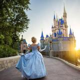 Walt Disney World