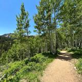 Bloods Lake Trailhead