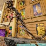 Denver Museum of Nature & Science
