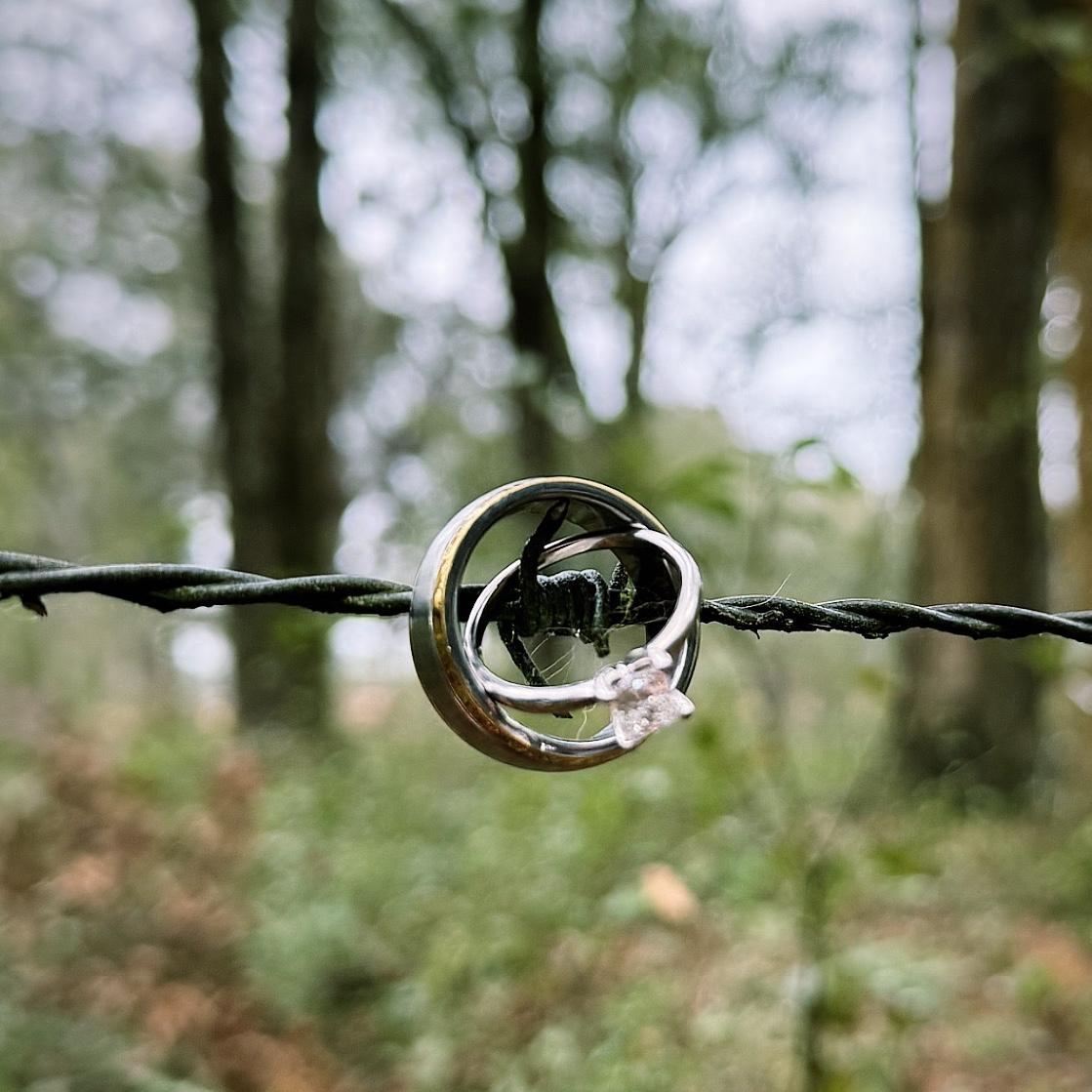 Hero Slideshow Image 3