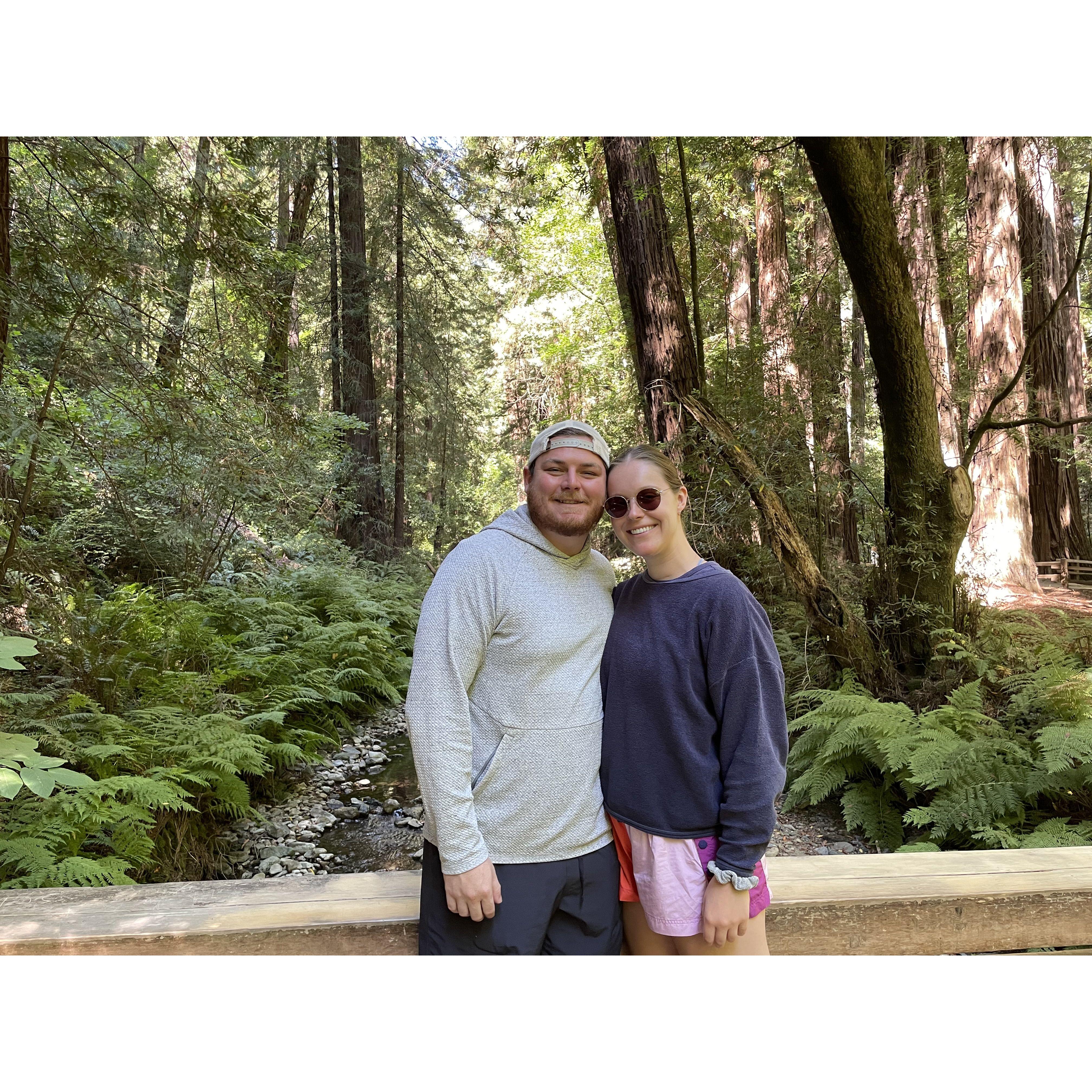 Seeing the Redwoods