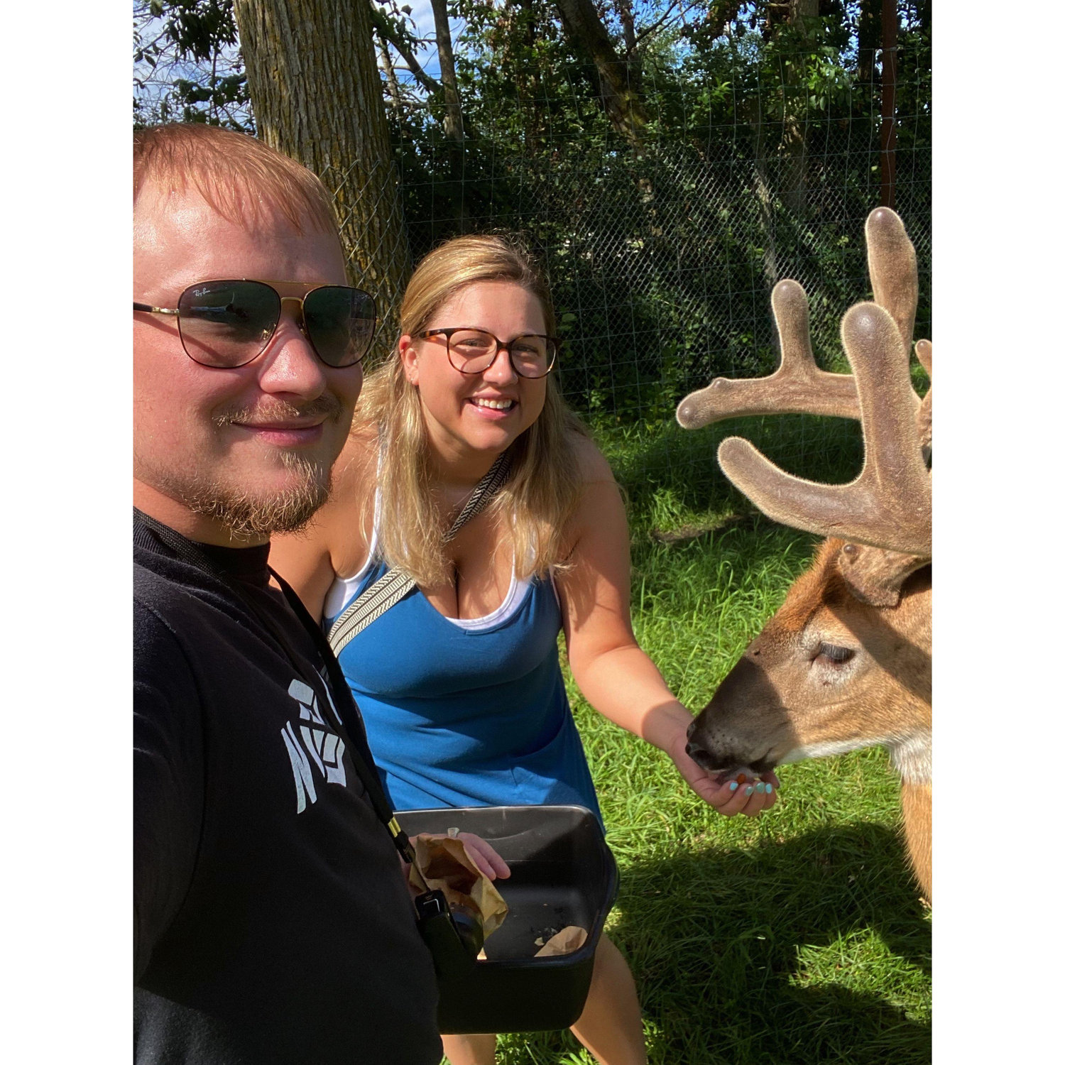 Petting Zoo in Bemidji, MN