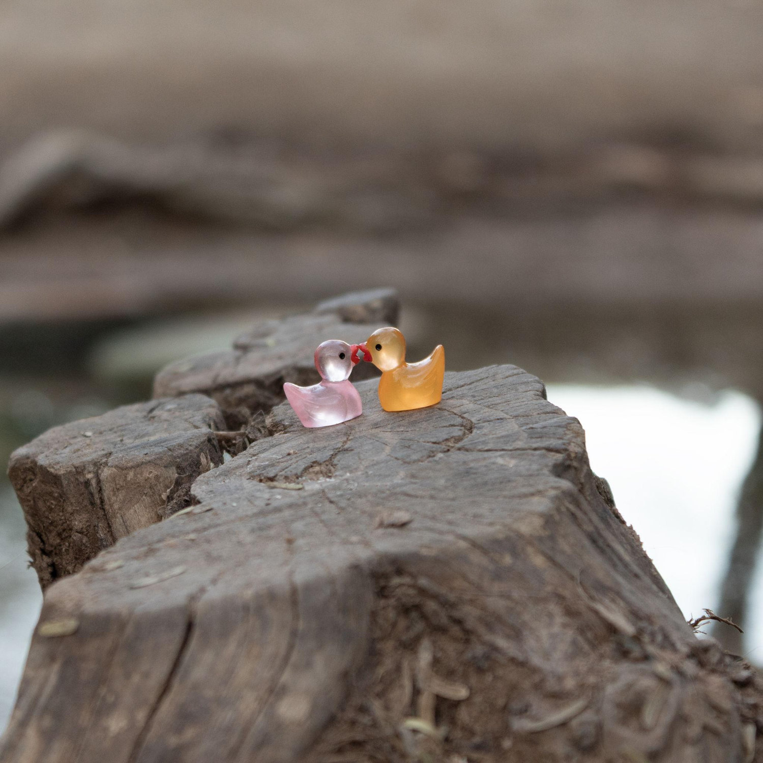 We enjoy hiding ducks when visiting people