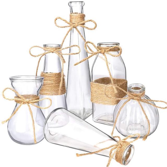 Nilos Glass Vases Set of 6, Clear Glass Flower Round Vase with Rope Design and Differing Unique Shapes for Wedding, Dinning, Home Decoration